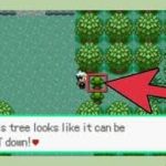 images_5