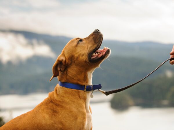 Mayor control y seguridad Mayor control y seguridad